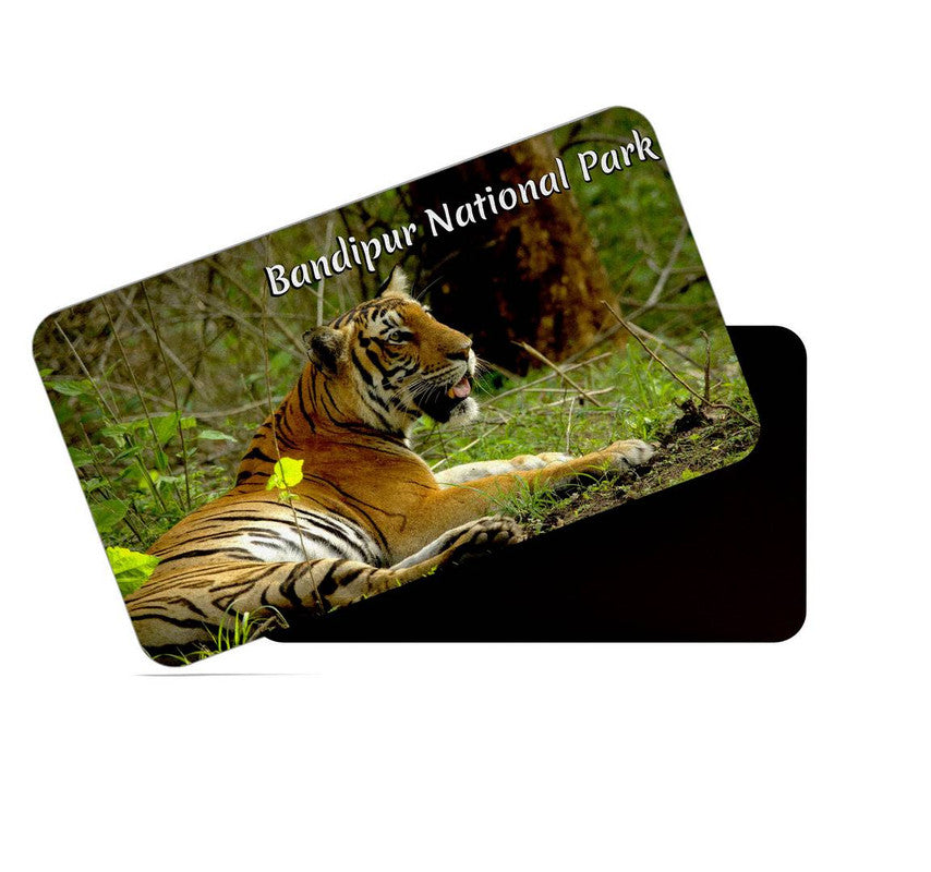 dhcrafts Rectangular Rubber Fridge Magnet / Magnetic Card Multicolor Karnataka Bandipur National Park Design Pack of 1 (8.6cm x 5.4cm)